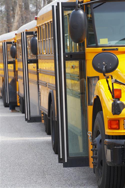 School buses 